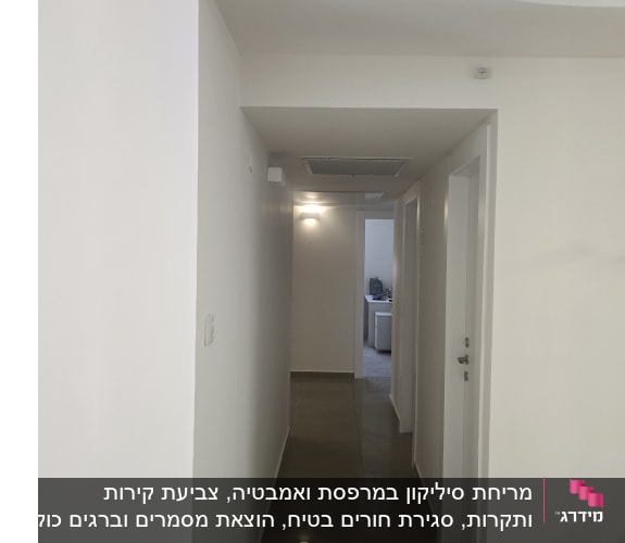 דירה צבועה